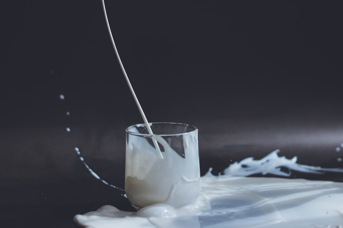 Mejeriprodukter som mjölk och yoghurt